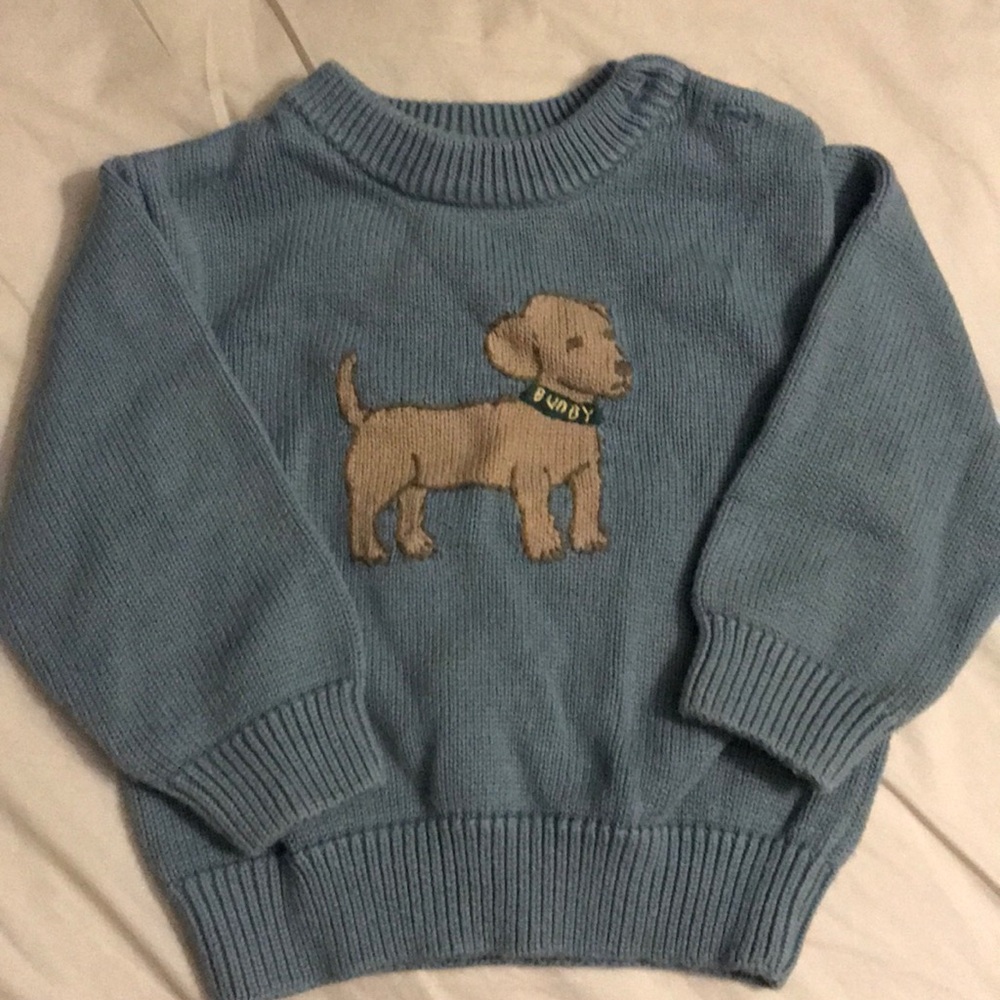 Gymboree boys sweater EUC